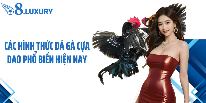 Các hình thức đá gà cựa dao phổ biến hiện nay