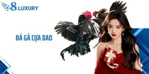 Đá Gà Cựa Dao- Trải Nghiệm Cá Cược Hấp Dẫn Nhất 2026